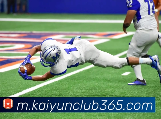 开云体育APP 封面图